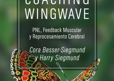 Coaching Wingwave: PNL feedback