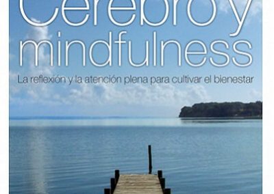 Cerebro y Mindfulness