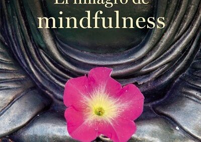 El milagro de Mindfulness