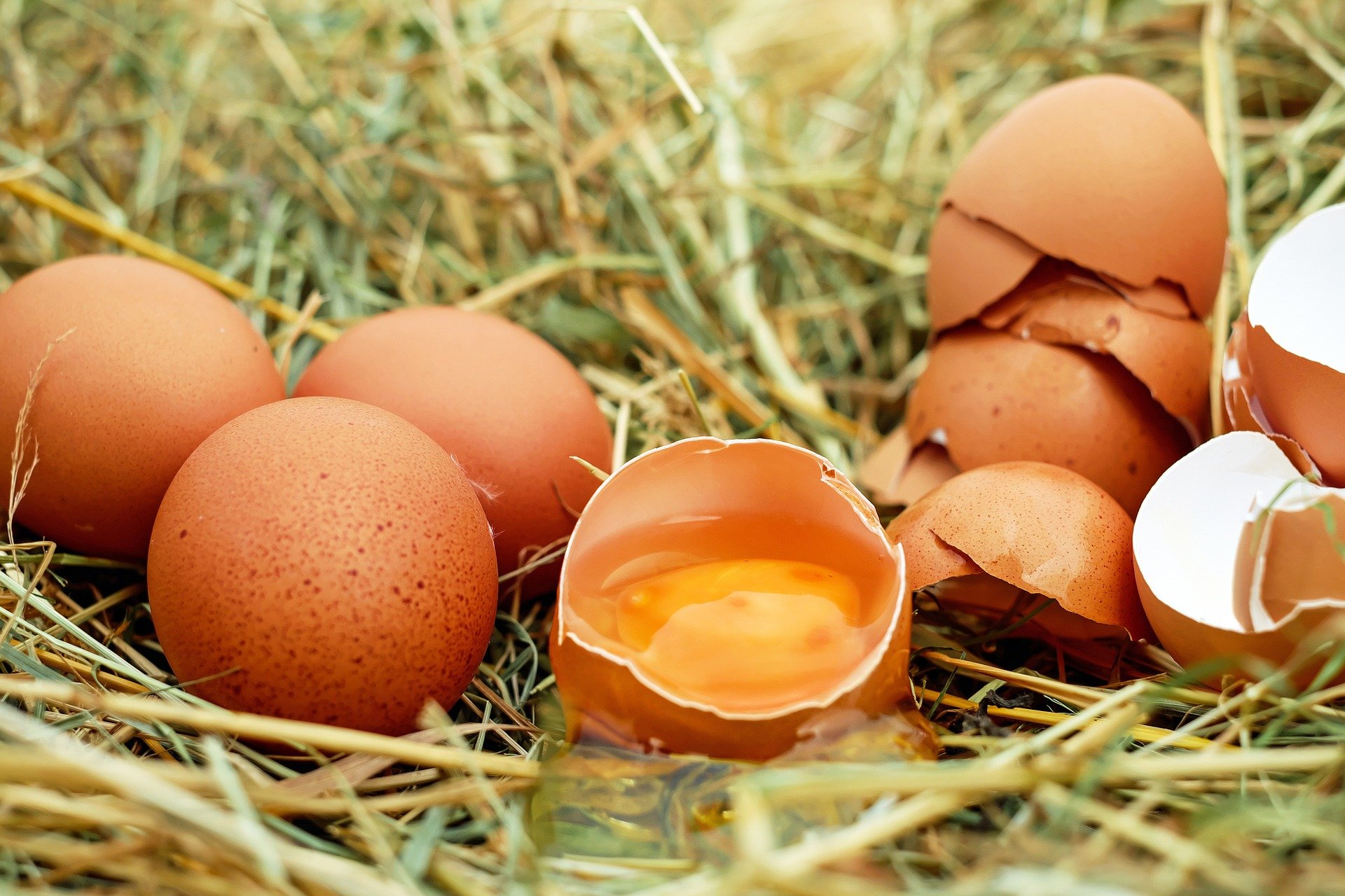 huevo alimento saludable que no engorda