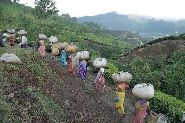 mujeres-indias-trabajando2